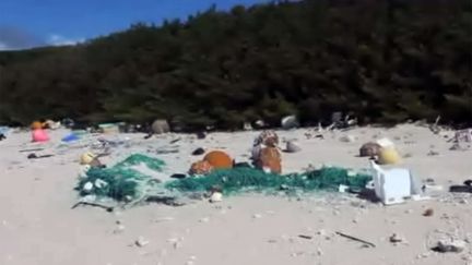 Des morceaux de plastique et des détrituts sur la plage de&nbsp;l'île Henderson.&nbsp; (JENNIFER LAVERS / CATERS /SIPA)