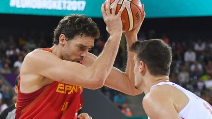 Pau Gasol avec l'Espagne (DANIEL MIHAILESCU / AFP)