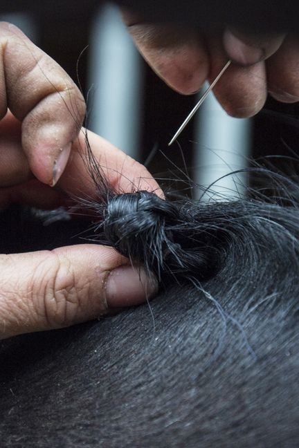 Une groom tresse la crinière d'un cheval pour l'épreuve de dressage (Eléonore Vanel)