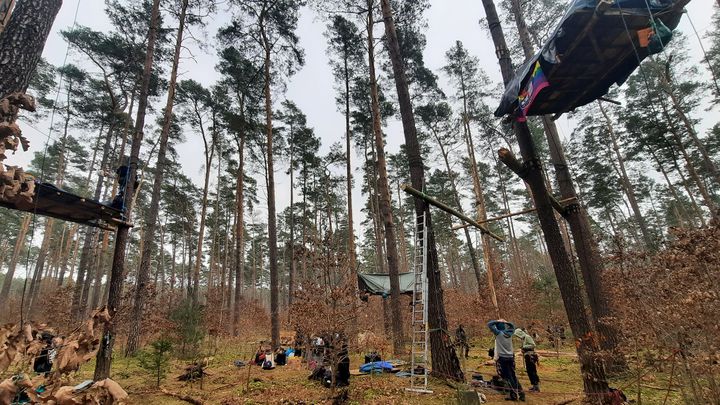 Environmental activists moved into air huts on February 29, 2024, to prevent the expansion of a Tesla factory.  (SEBASTIEN BAER / RADIO FRANCE)