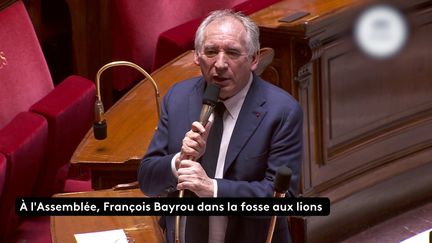 Assemblée nationale : François Bayrou dans la fosse aux lions (franceinfo)