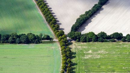 Vue a&eacute;rienne de la campagne pr&egrave;s de Sch&ouml;nefeld (Allemagne), le 4 septembre 2012. (PATRICK PLEUL / DPA / AFP)