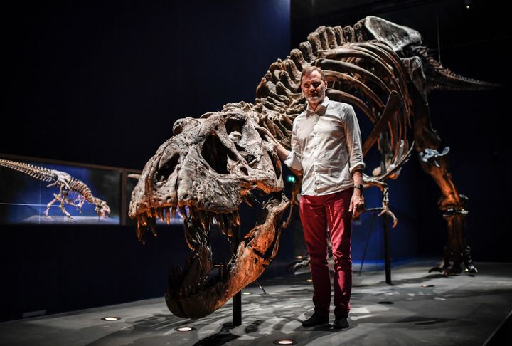 Le paléontologue Ronan Allain pose à côté d'un tyrannosaure T.rex exposé au Museum d'histoire naturelle de Paris
 (Stéphane de Sakutin / AFP)