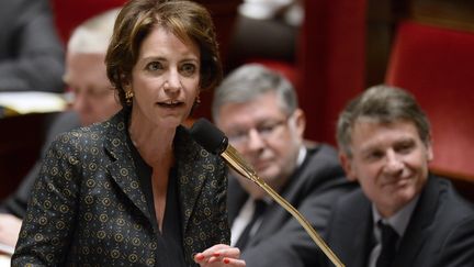 La ministre de la Sant&eacute;, Marisol Touraine, le 11 f&eacute;vrier 2014 &agrave; l'Assembl&eacute;e nationale &agrave; Paris.&nbsp; (ERIC FEFERBERG / AFP)