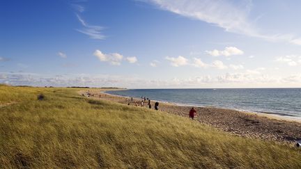 Vendée : des vacances dans une école à Noirmoutier