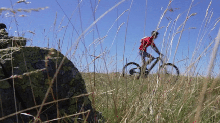 Vacances : voyage au coeur du plateau d'Iraty à vélo