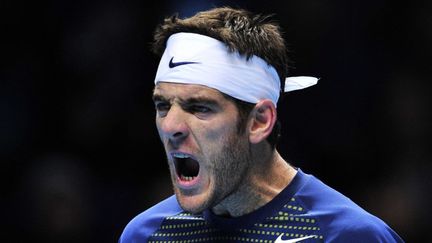 Juan Martin Del Potro est venu à bout de Richard Gasquet (GLYN KIRK / AFP)