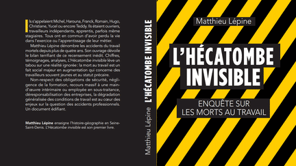 "L'hécatombe invisible" de Mathieu Lépine. (SEUIL)