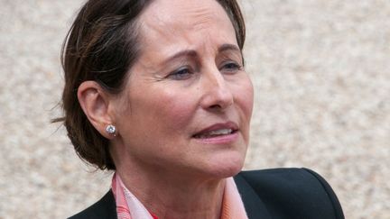 La ministre de l'Ecologie, S&eacute;gol&egrave;ne Royal, dans la cour de l'Elys&eacute;e, &agrave; Paris,&nbsp;le 14 mai 2014.&nbsp; (ZAER BELKALAI / AFP)