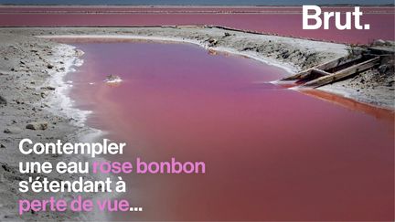 Pas besoin de traverser l'océan pour en prendre plein la vue. Bienvenue aux salins de Camargue dans les Bouches-du-Rhône.