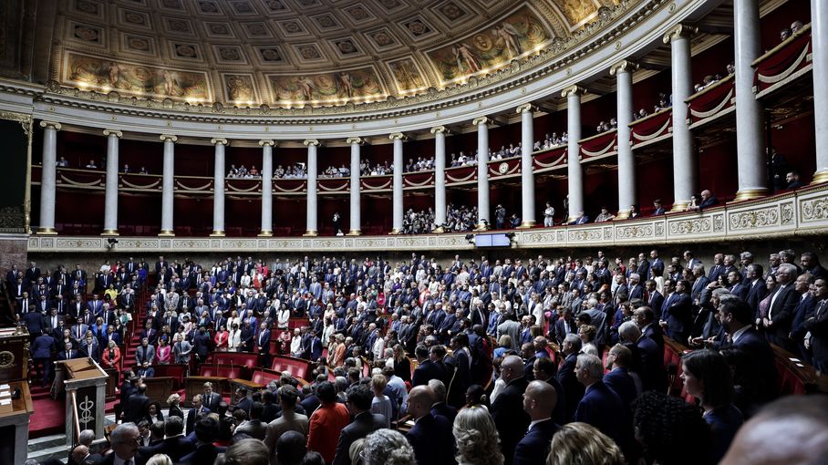 INFOGRAPHIES. Elections législatives 2024 : âge, genre, CSP... Visualisez le nouveau visage de l'Assemblée nationale en quatre graphiques (1/1)