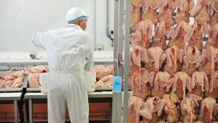 Une usine d'abattage de canards à Lauzach, près de Vannes dans le Morbihan. (MAXPPP)