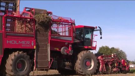 Pénurie de carburant : les agriculteurs menacés de chômage technique (FRANCEINFO)