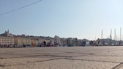 Le Vieux Port de Marseille, sans aucun arbre. (GUILLAUME FARRIOL / RADIO FRANCE)