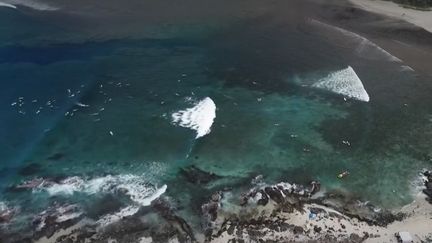 La Réunion : un protocole de prévention contre les attaques de requins a été mis en place