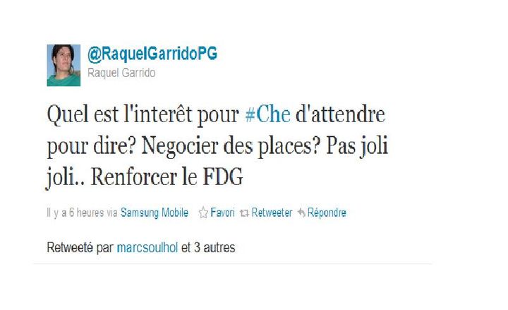 Catpure d'écran du tweet de @RaquelGarridoPG (DR)