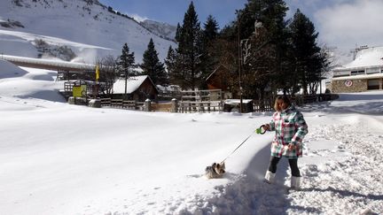 A vue d'oeil, ce chien s'enfonce dans plusieurs dizaines de centimètres de neige à la Mongie, dans les Hautes-Pyrénées, près du Tour Malet, le 22 novembre 2015. (LAURENT DARD / MAXPPP)