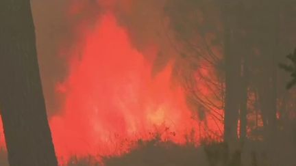 Incendie en Gironde : les conditions météorologiques préoccupent les secours&nbsp; (FRANCE 3)