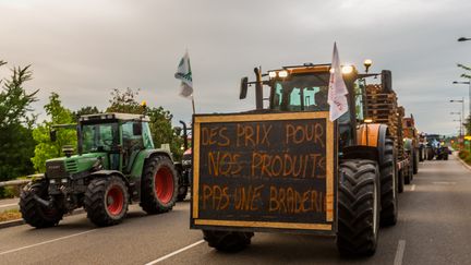 Manifestation des agriculteurs &agrave; Srtasbourg le 26 juillet 2015. (CITIZENSIDE/CLAUDE  TRUONG-NGOC / CITIZENSIDE.COM)