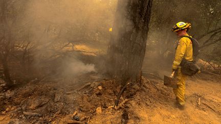 Des pompiers luttent contre l'incendie Carr près de Redding en Californie, le 28 juillet 2018.&nbsp; (BOB STRONG / REUTERS)