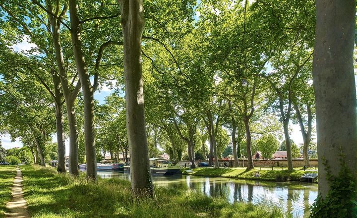 Le canal du midi, Toulouse. (Office de tourisme de Toulouse)