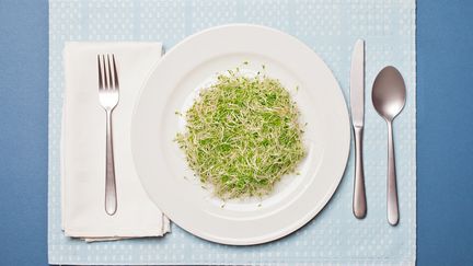 Alimentation : nos assiettes prennent de la graine