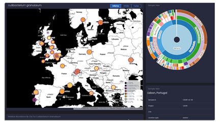 Présence de la bactérie&nbsp;cutibacterium granulosum dans plusieurs villes mesurée dans le cadre de l'étude "Global metagenomic map of urban microbiomes and antimicrobial resistance". (METASUB.ORG)