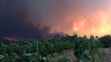 Des épaisses fumées s'échappent de la forêt depuis le village de Mourisco. (REUTERS)