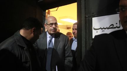 Mohamed El Baradei, ancien directeur de l'Agence internationale de l'&eacute;nergie atomique (AIEA), donne une conf&eacute;rence sur la sant&eacute; le 15 d&eacute;cembre 2011 au Caire (Egypte). (ASMAA WAGUIH / REUTERS)