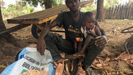 Dans sa Casamance natale, au sud du Sénégal, le jeune fermier et père de famille se frotte les mains. Son activité, longtemps cantonnée au marché local, prend de l'ampleur. «Je gagne plus pour chaque sac», dit-il. Les affaires n'ont jamais été meilleures. Alors que le baobab, arbre gigantesque symbole de la savane africaine jusqu'à Madagascar, est menacé par le réchauffement, la demande de son fruit à coque dure décolle à l'export. Selon le groupe industriel African Baobab Alliance, les exportations de fruits de baobab sont passées de 50 tonnes en 2013 à 450 tonnes en 2017, pour atteindre, selon les prévisions, les 5.000 tonnes d'ici à 2025. (Edward McALLISTER / REUTERS)