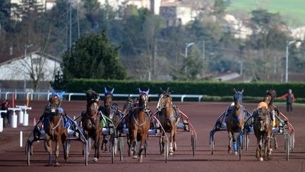 Des trotteurs au départ d'une course hippique à Saint-Galmier, en 2015 (photo d'illustration) (REMY PERRIN / MAXPPP)