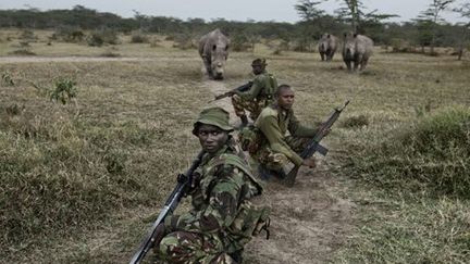 Image du film «The last Animals». Les derniers rhinocéros blancs sont protégés par les rangers kenyans, une espèce en voie d'extinction. (Image tiré du film de Kate Brooks «The last Animals»)