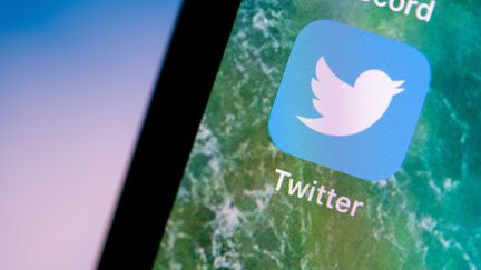 L'application Twitter sur un téléphone portable, le 21 juin 2019. (FABIAN SOMMER / DPA / AFP)