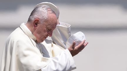 Le pape Fran&ccedil;ois, place Saint Pierre, au Vatican, le 10 juin 2015. (FILIPPO MONTEFORTE / AFP)