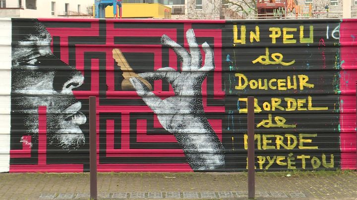 La fresque de Lady Bug à Nantes. (A. Ropert /  France Télévisions)