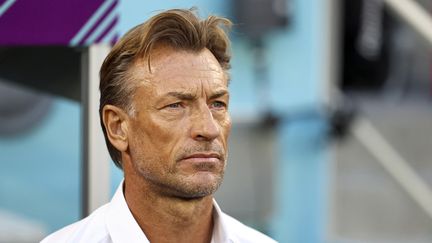 Hervé Renard lors de la rencontre de Coupe du monde entre l'Arabie saoudite et la Pologne, à Al Rayyan, le 26 novembre 2022. (SERHAT CAGDAS / ANADOLU AGENCY via AFP)