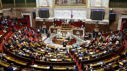 L'hémicycle de l'Assemblée nationale, à Paris, le 24 novembre 2022. (GEOFFROY VAN DER HASSELT / AFP)