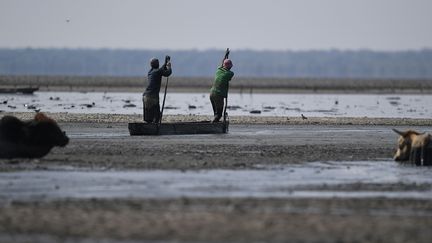 En plus de celle des animaux, l'assèchement du lac Ngami affecte la vie des pêcheurs locaux, qui doivent cesser leur activité. Dans les pays voisins du Botswana, la sécheresse fait déjà planer le spectre de la famine. Selon le Programme alimentaire mondial, elle menace 2,5 millions de personnes en Zambie et 5,5 millions au Zimbabwe. (MONIRUL BHUIYAN / AFP)