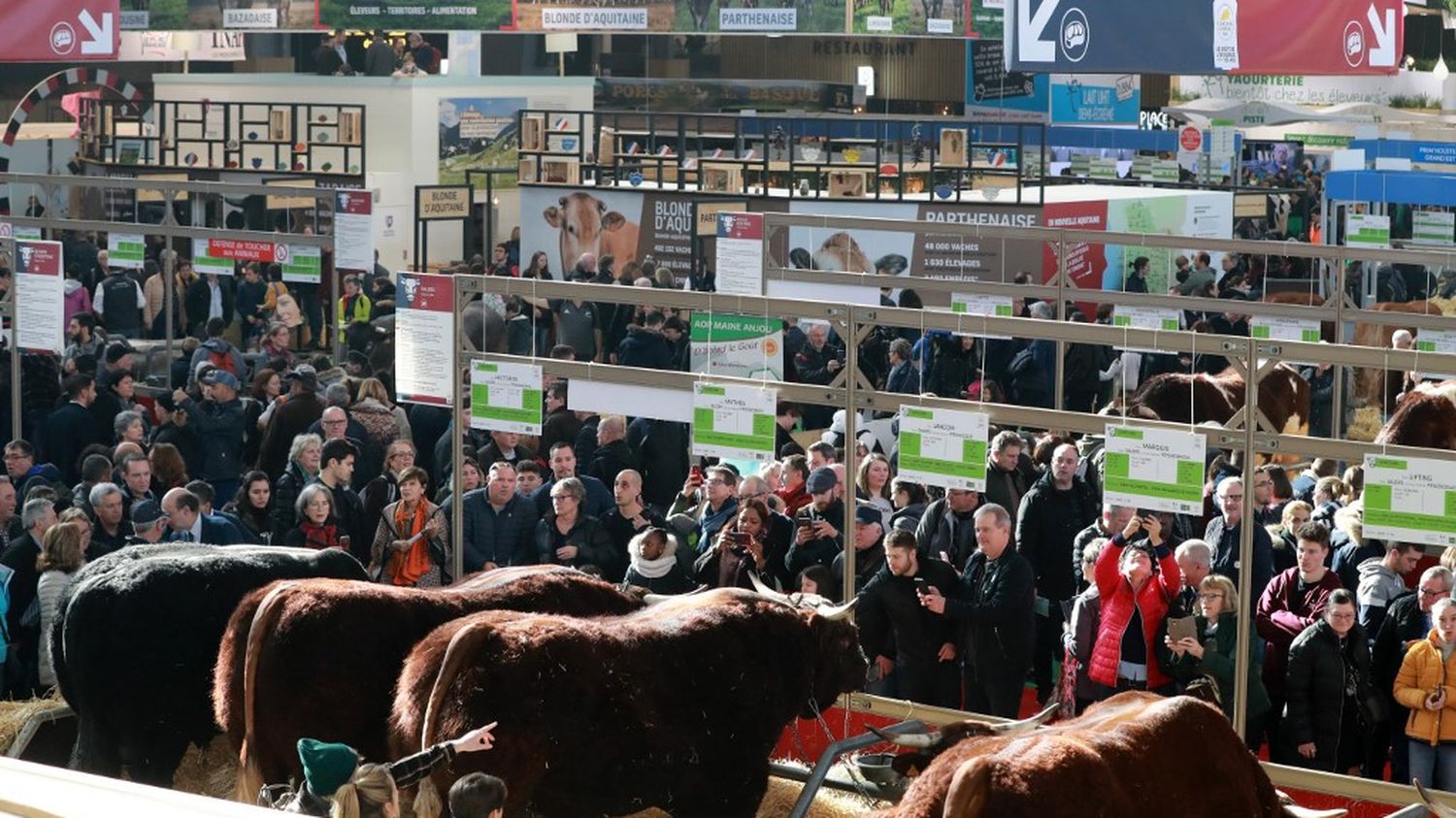 Salon de l'agriculture annulé un choc pour le milieu agricole