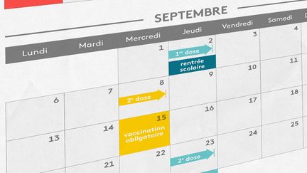 Cette infographie se base sur le délai minimum à respecter entre deux injections des vaccins de Pfizer et Moderna, soit 21 jours, ajouté au temps nécessaire pour que la vaccination soit considérée comme complète. (ELLEN LOZON / FRANCEINFO)