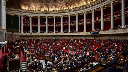 L'hémicycle de l'Assemblée nationale à Paris, le 20 février 2019.&nbsp; (PHILIPPE LOPEZ / AFP)