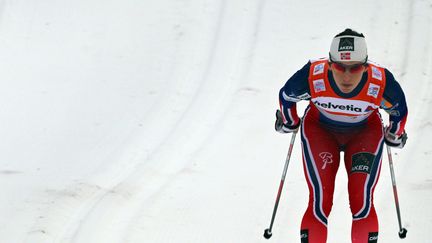 Marit Bjoergen est intouchable cette saison  (KARL-JOSEF HILDENBRAND / DPA)