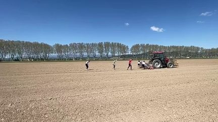 Sécheresse : déjà 10 départements en alerte dans l'Hexagone