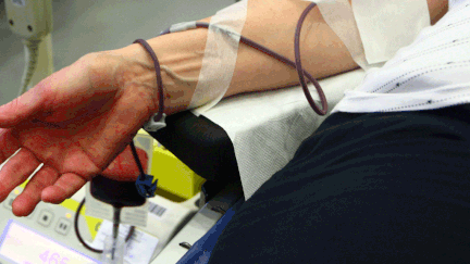 &nbsp; (Le don du sang soumis à des conditions drastiques pour les homosexuels © maxPPP)
