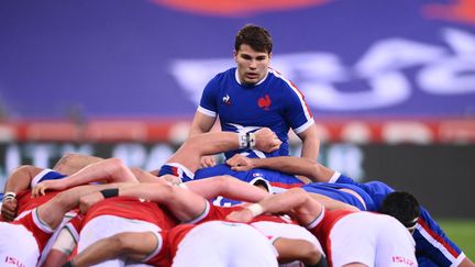 Antoine Dupont a été désigné capitaine du XV de France pour la tournée d'automne, le lundi 25 octobre 2021. (FRANCK FIFE / AFP)