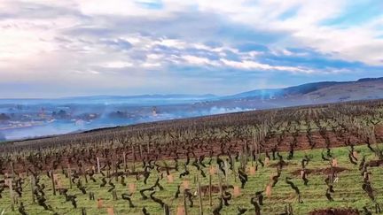 Viticulture : immersion dans les Hospices de Beaune dont la mythique vente de charité finance un hôpital public