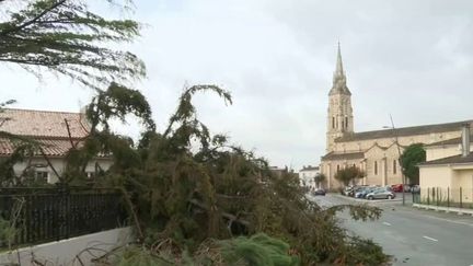 Tempête Ciaran : dans le Médoc, un village dévasté (France 2)