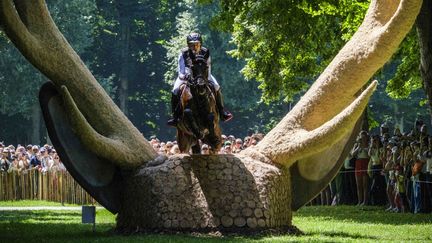 Le cavalier allemand Michael Jung franchit un obstacle en forme de bois de cerf, près du château de Versailles, le 28 juillet 2024. (CHRISTOPHE BRICOT / AFP)