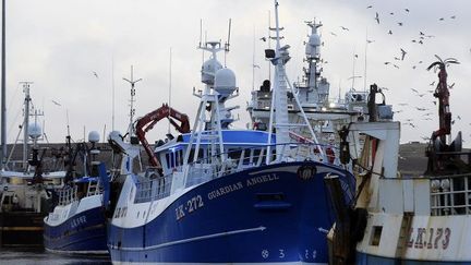 Chalutiers dans le port de Lerwick aux îles Shetland. (ANDY BUCHANAN / AFP)