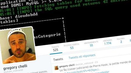 &nbsp; (Le profil Twitter du "militant sioniste" Grégory Chelli, alias "Ulcan" © DR)